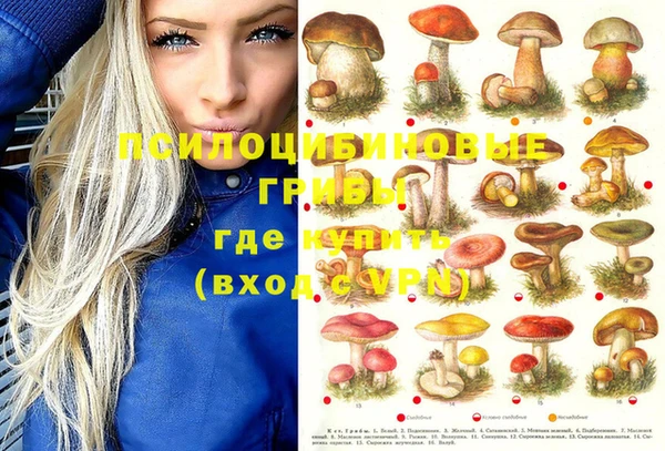 трава Богородицк