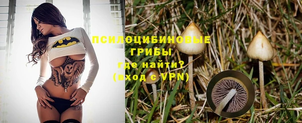 трава Богородицк