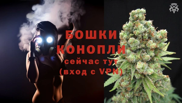 трава Богородицк